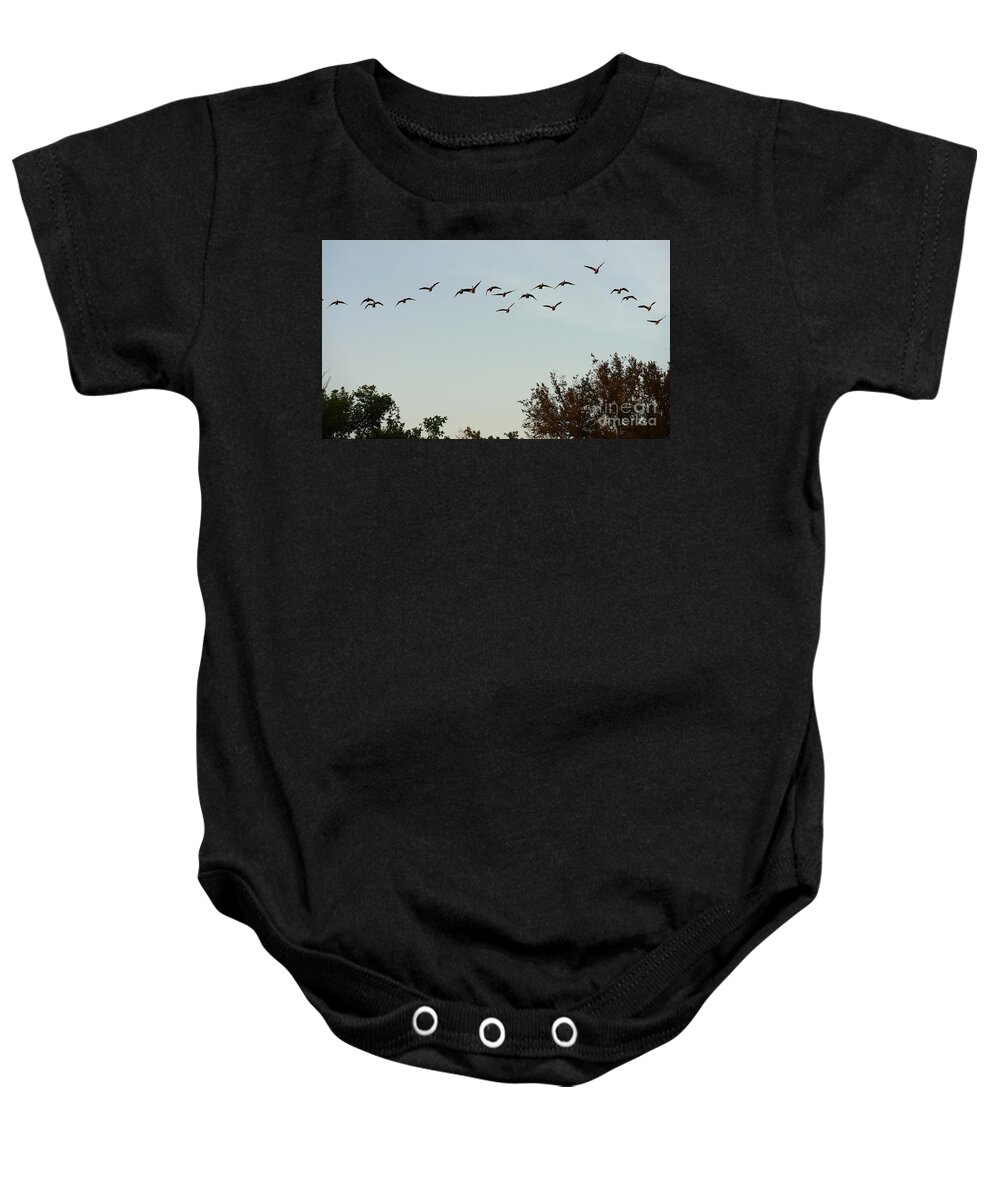 Bird Baby Onesie featuring the photograph Out Flying by On da Raks