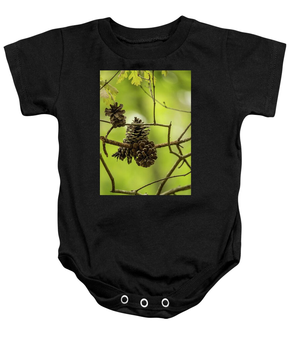 Cone Baby Onesie featuring the photograph Pine Cones by Rick Nelson