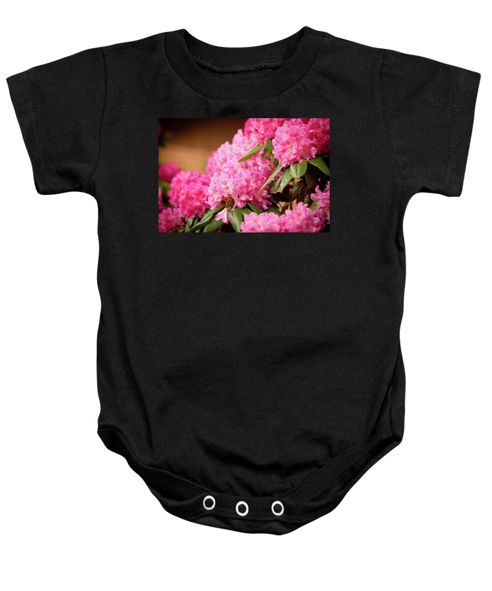 Flowers Baby Onesie featuring the photograph Pink Flower Clusters by Rich S