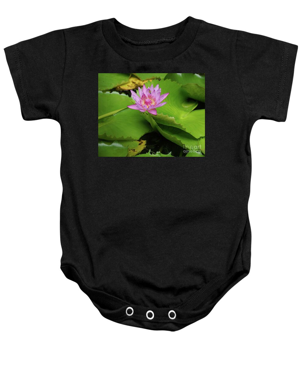 Aquatic Baby Onesie featuring the photograph Pink lily with a bee by On da Raks