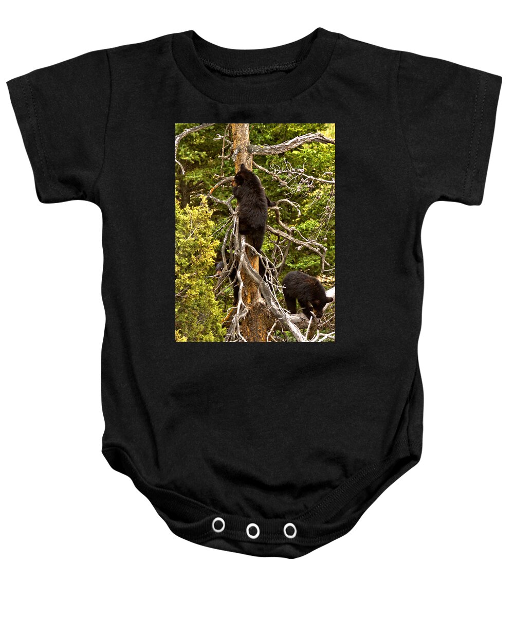Black Bears Baby Onesie featuring the photograph Play Time In The Tree Tops by Adam Jewell