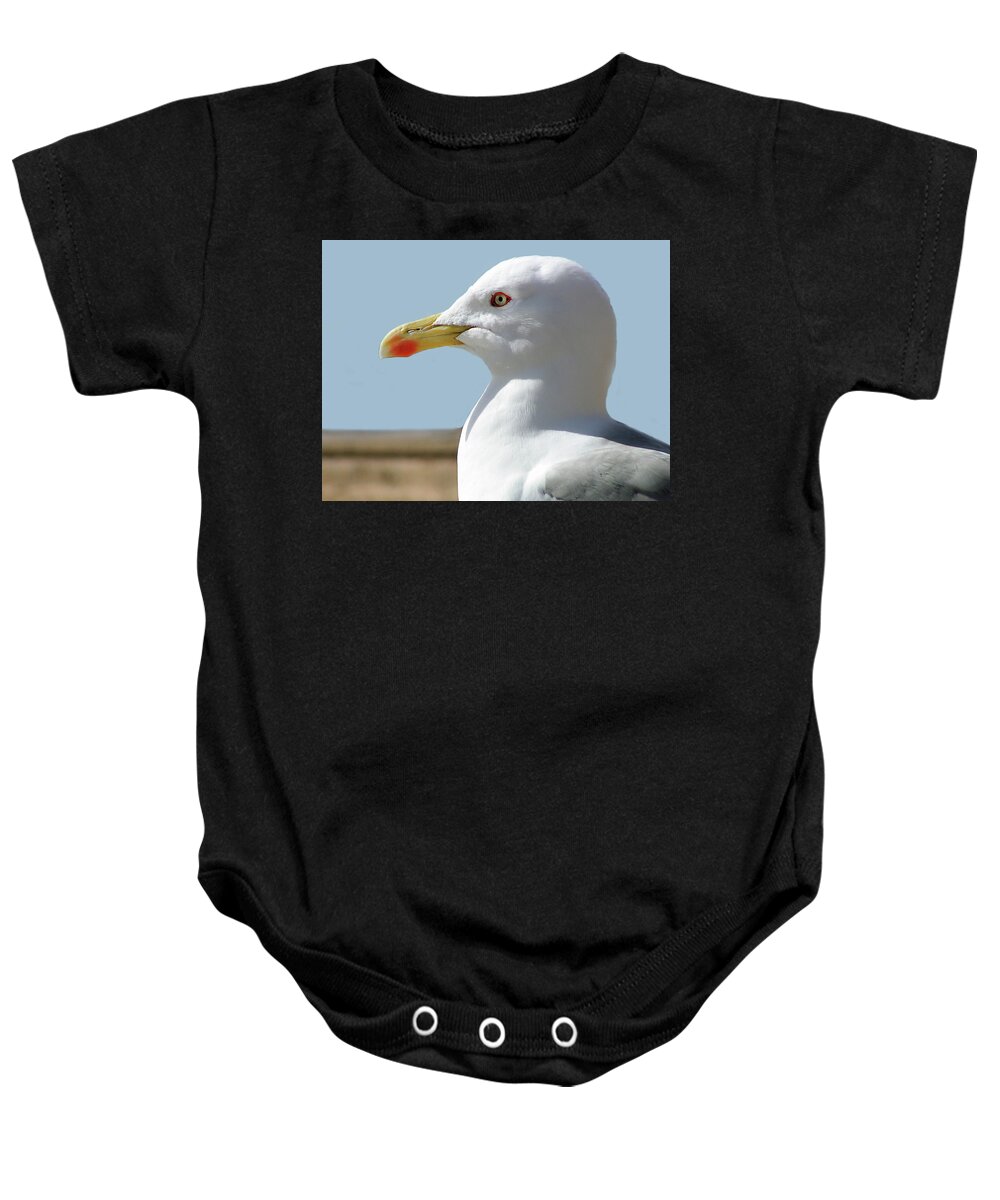 Seagull Baby Onesie featuring the photograph Profile Of A Seagull by Alexandra's Photography