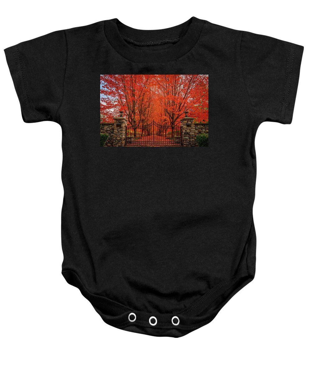 Fall Baby Onesie featuring the photograph Red Canopy by Dan Mihai