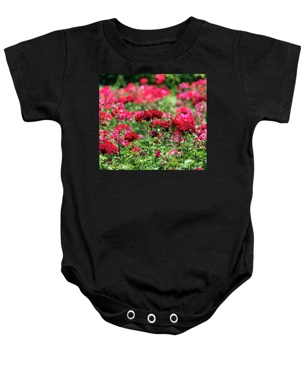 Garden Baby Onesie featuring the photograph Red Roses Garden Background by Mikhail Kokhanchikov