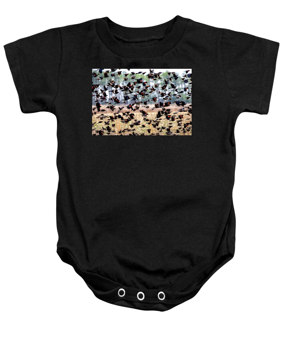 Nature Baby Onesie featuring the photograph Red-winged Rush Hour by C Renee Martin