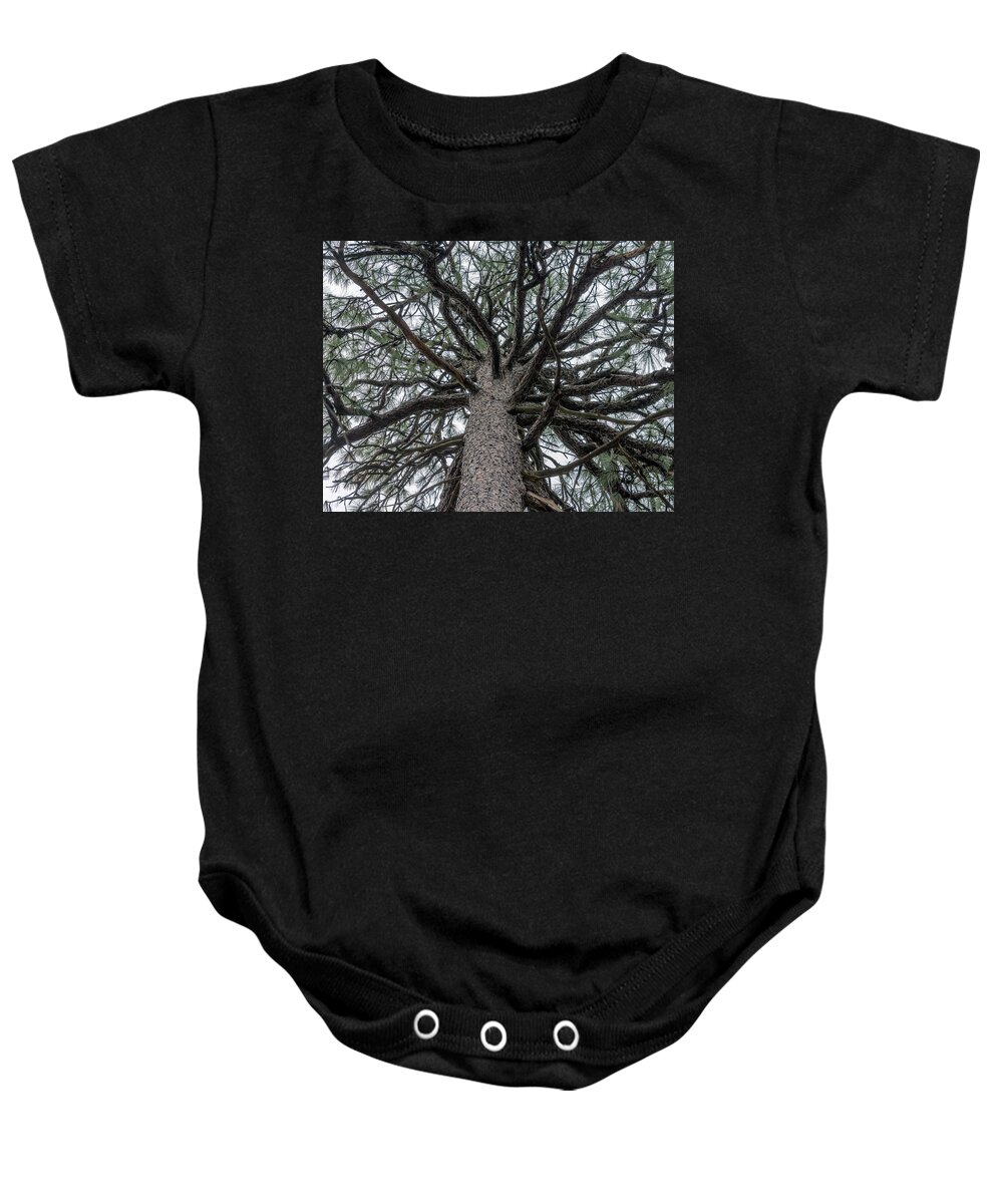 Talkest Baby Onesie featuring the photograph Second Talkest Pine Tree in North Carolina by WAZgriffin Digital
