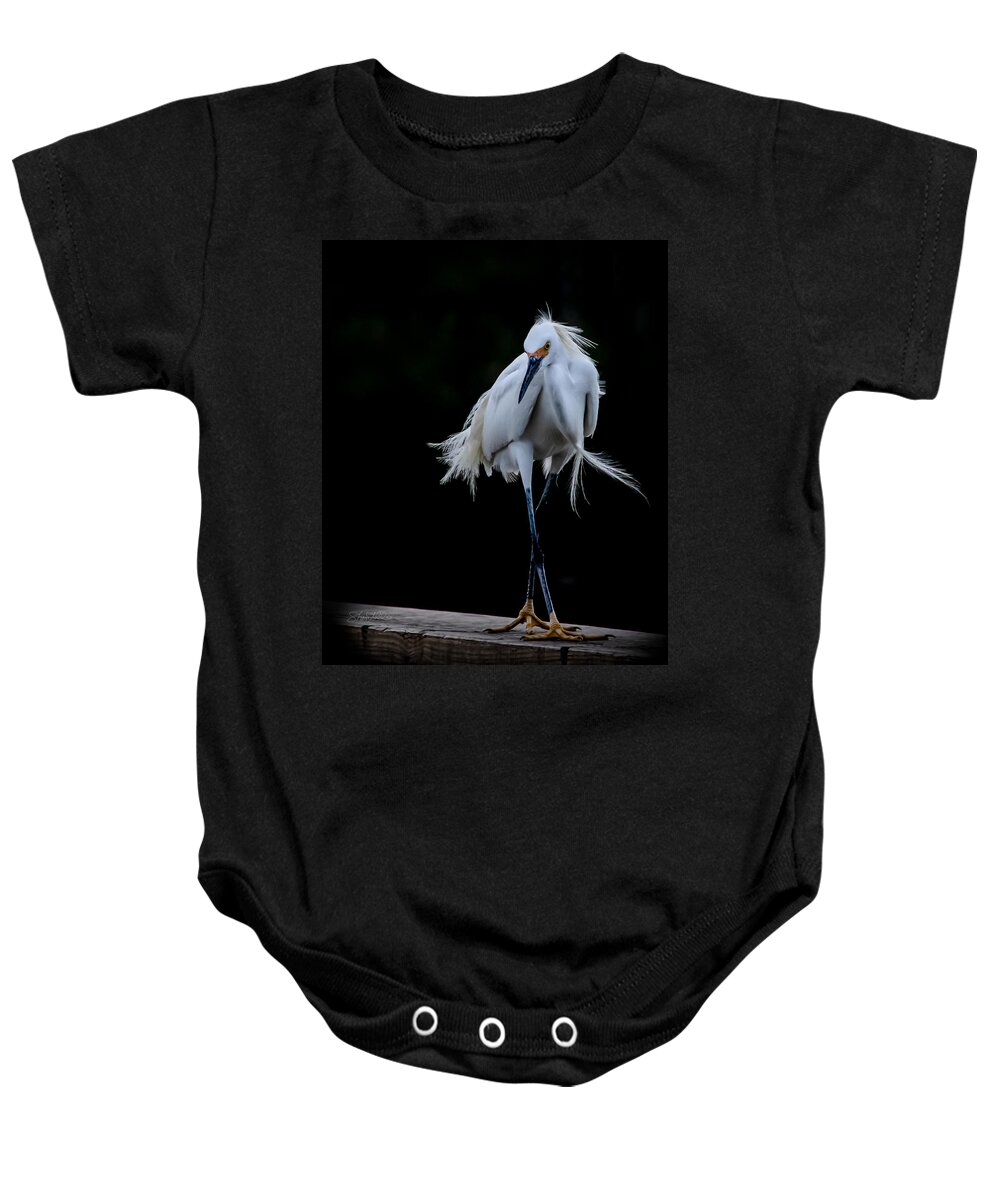 Bird Baby Onesie featuring the photograph Shall We Dance by Shara Abel