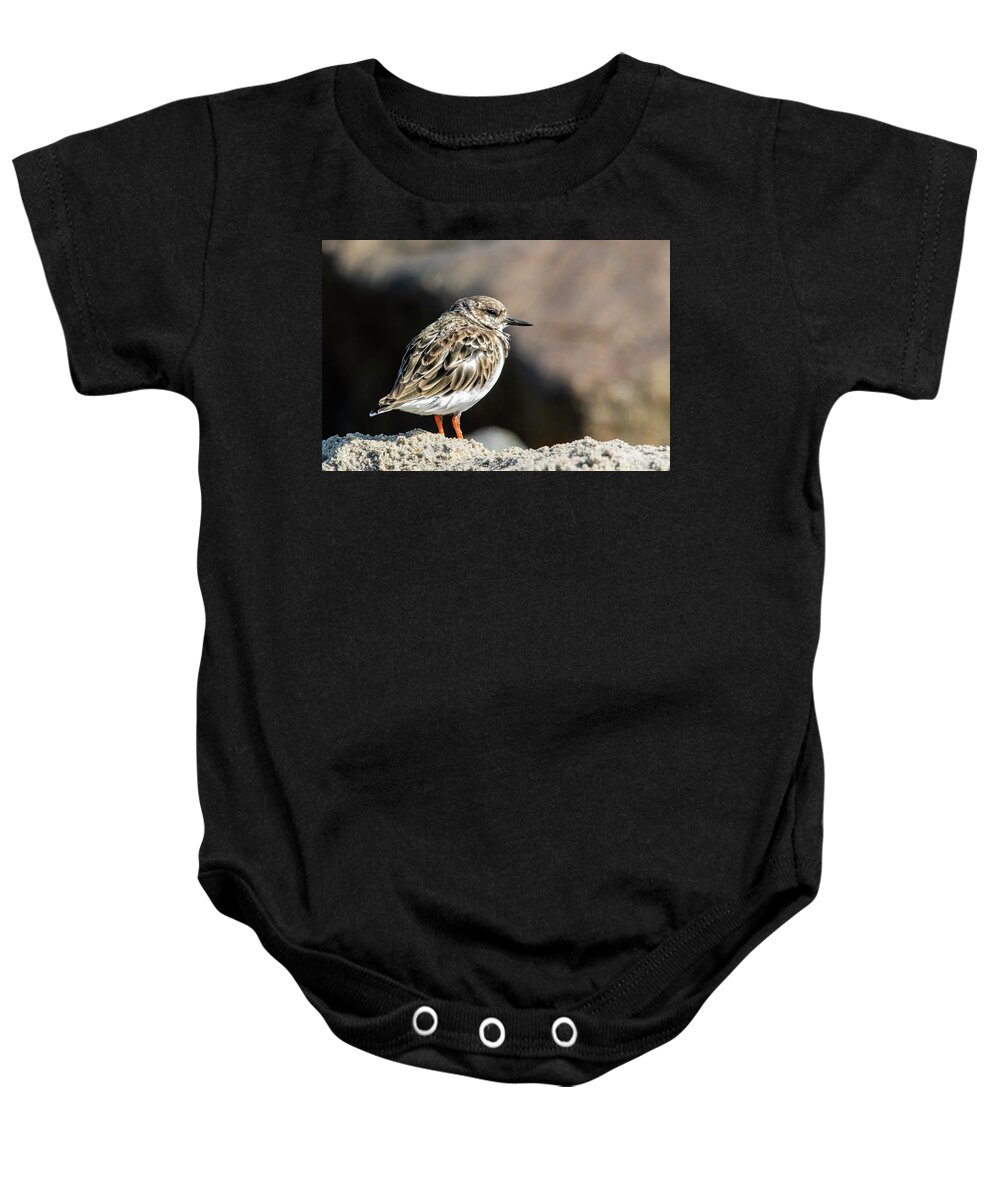 Bird Baby Onesie featuring the photograph Shore Bird on the Rocks at Fort Macon State Park by Bob Decker