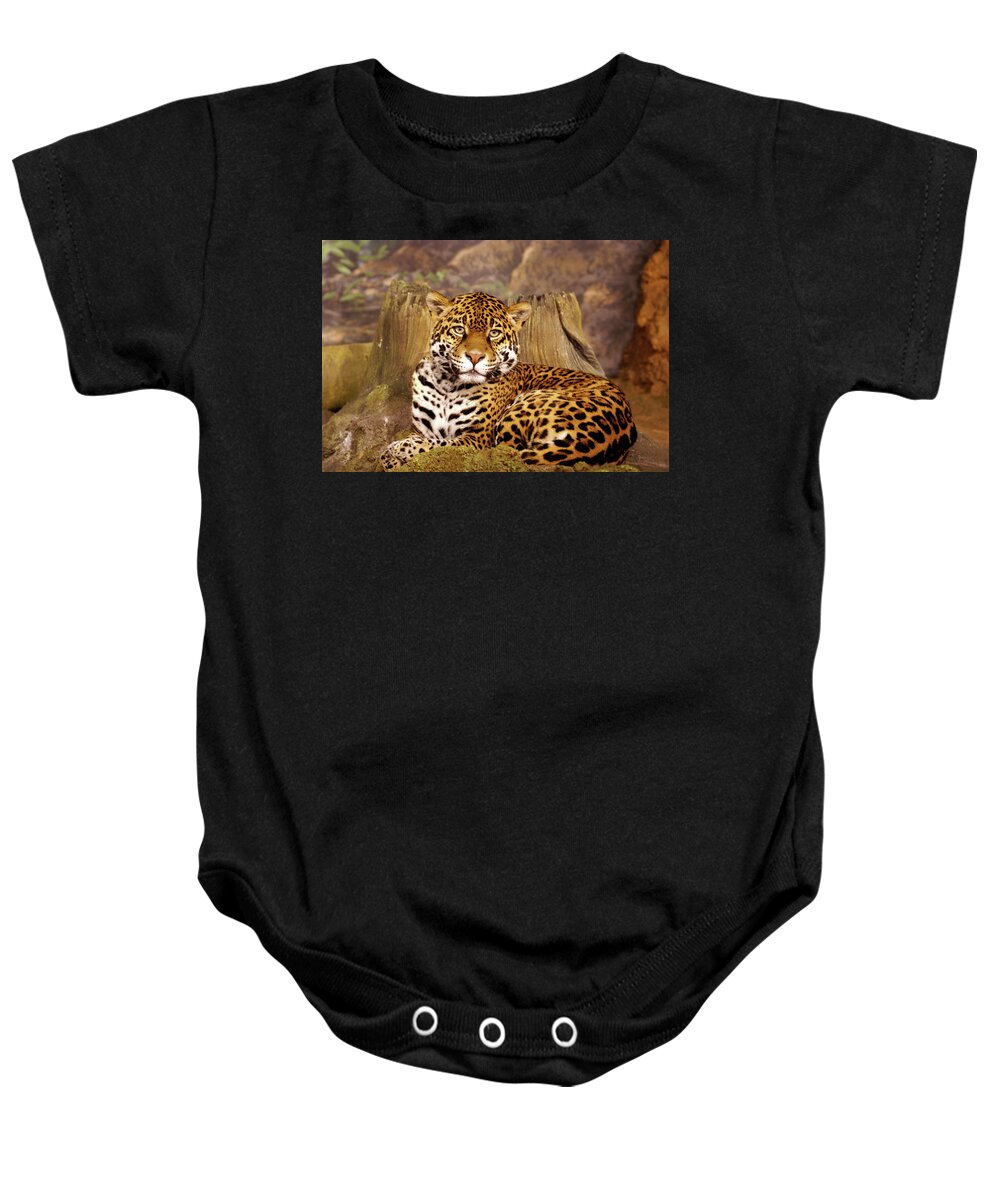 Milwaukee County Zoo Baby Onesie featuring the photograph Stella by Deb Beausoleil