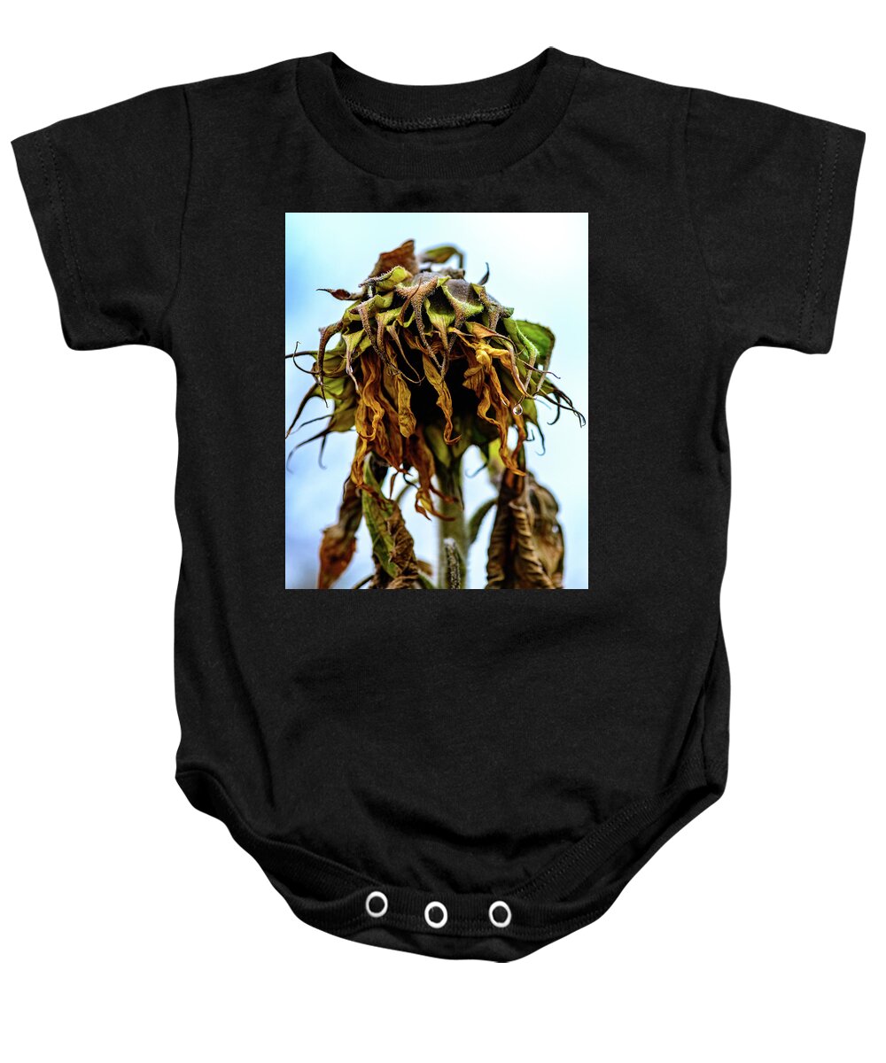 Johnsons Farm Baby Onesie featuring the photograph Sunflowers Last Days by Louis Dallara
