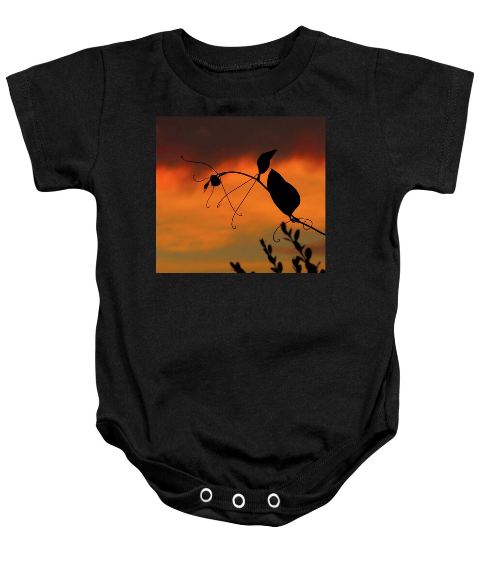 Vines Baby Onesie featuring the photograph Sunset Vine by Linda Stern
