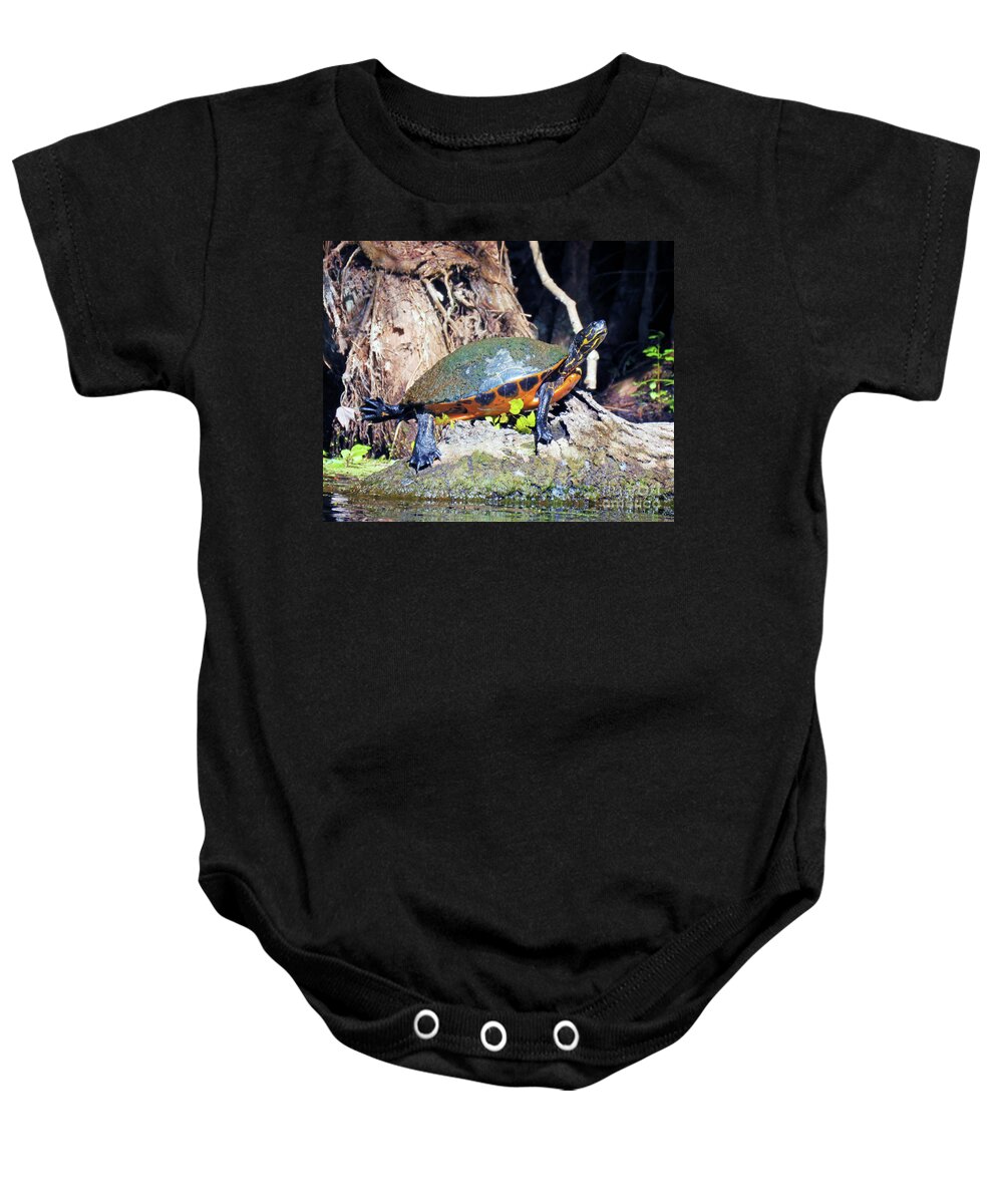 Florida Baby Onesie featuring the photograph Surroundings - Silver Springs Sunbathing Turtle by Chris Andruskiewicz