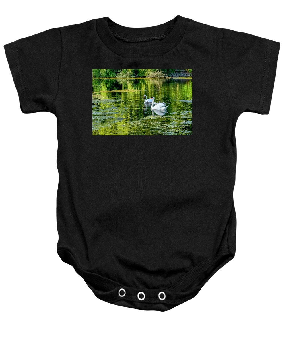 Ambleside Park Baby Onesie featuring the photograph Swans at Ambleside by Michael Wheatley