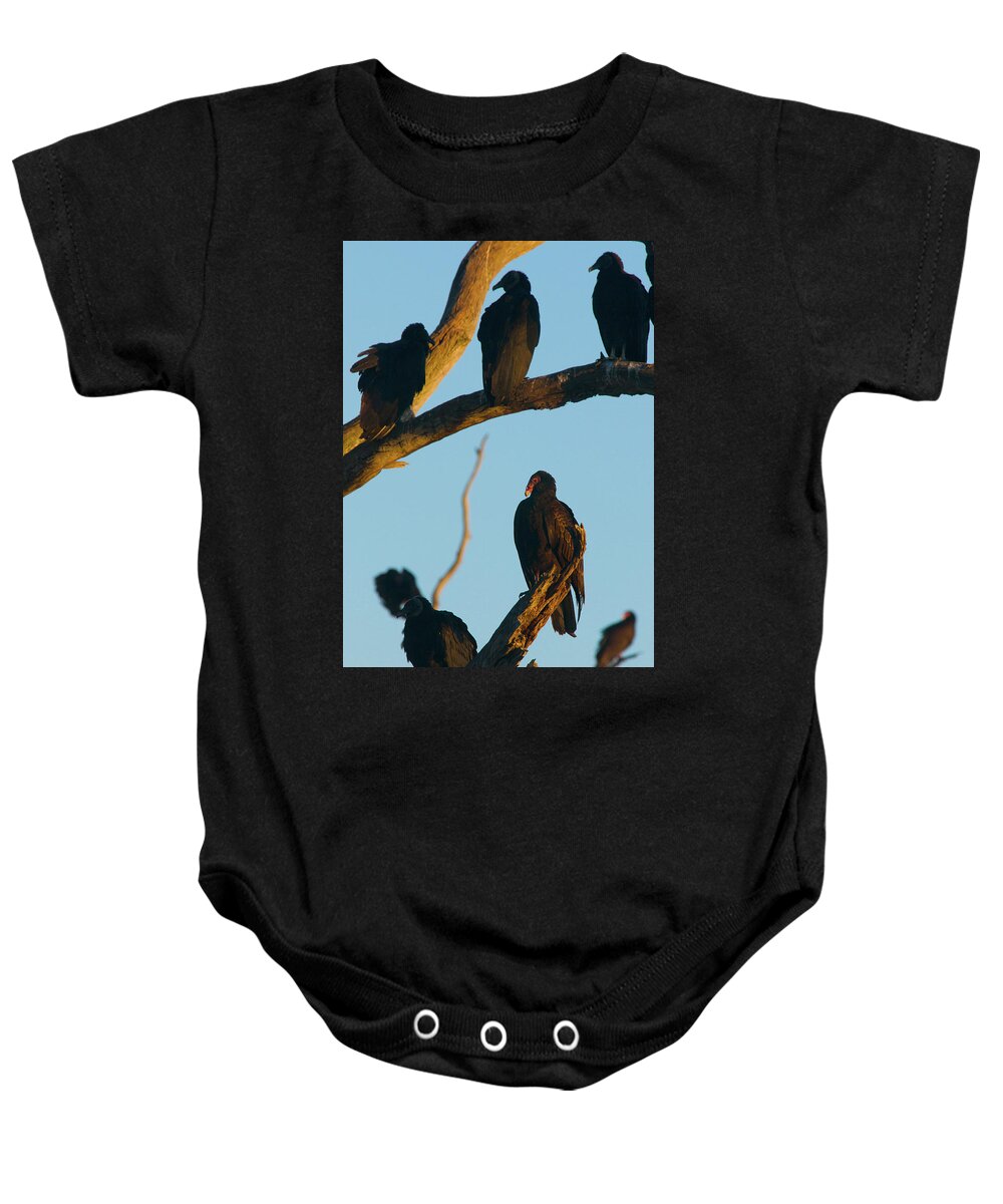 Animal Baby Onesie featuring the photograph The Committee by Melissa Southern