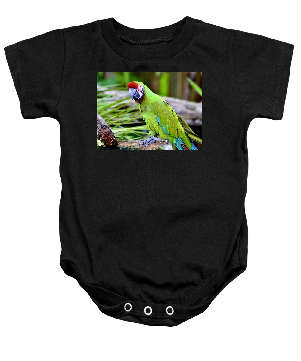 The Military Macaw Baby Onesie featuring the photograph The Military Macaw by Warren Thompson