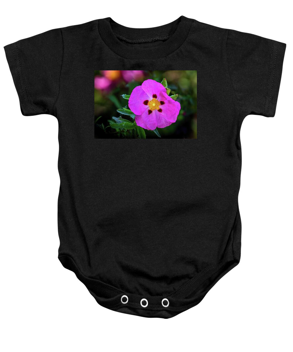 Wildflowers Baby Onesie featuring the photograph To a Wild Rose by Larey and Phyllis McDaniel