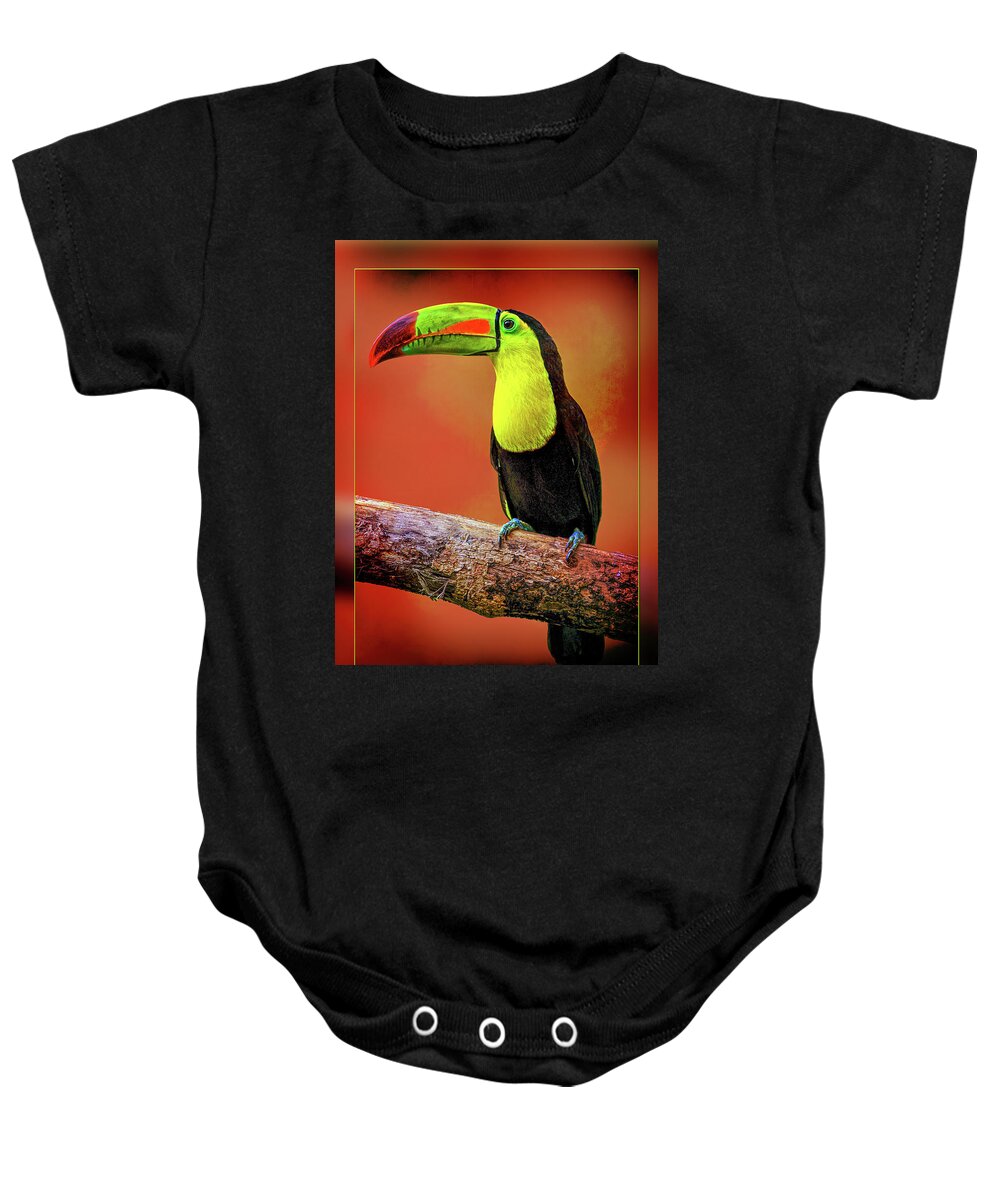 Toucan Baby Onesie featuring the photograph Toucan by Bill Barber
