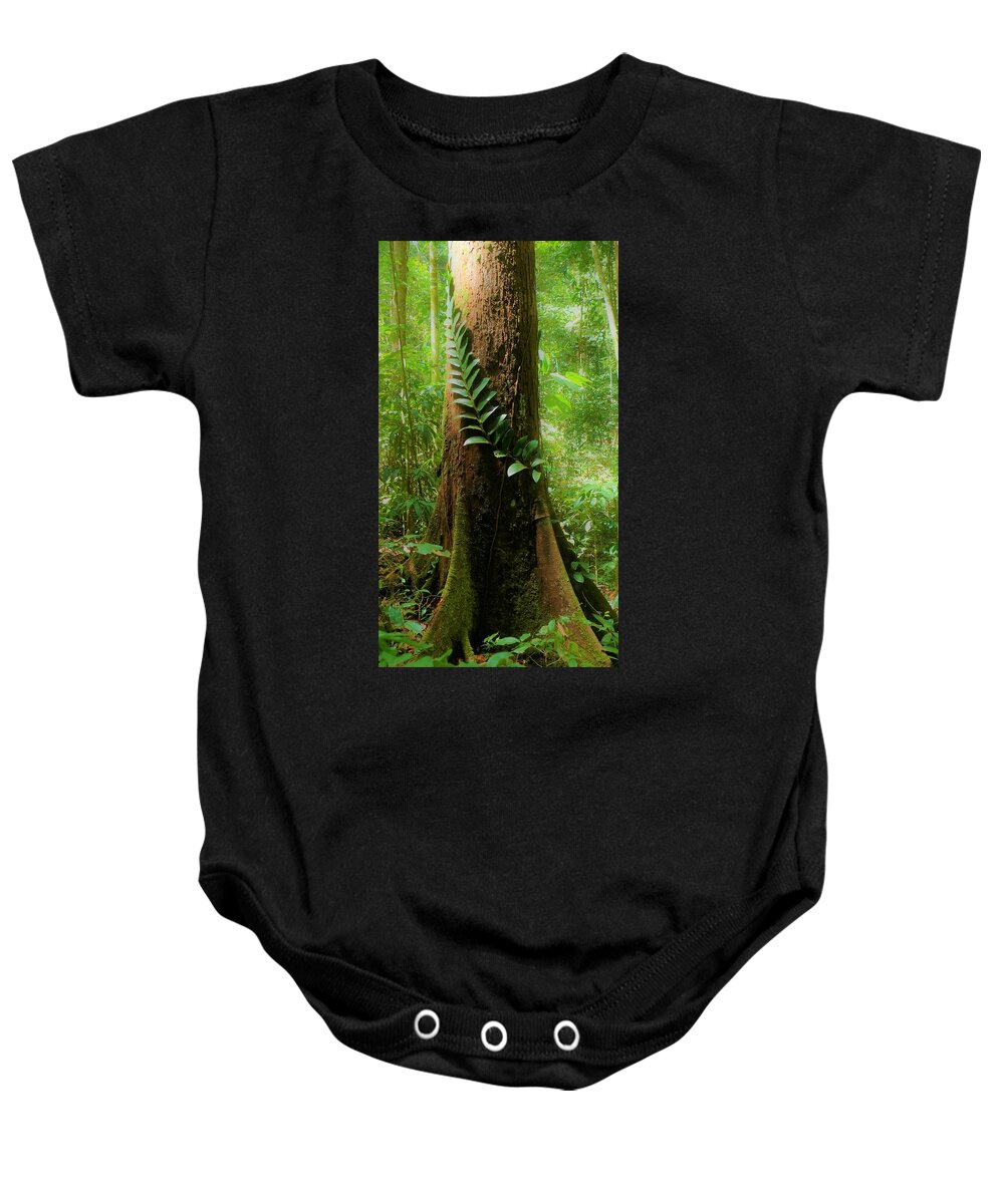 Tropical Forest Baby Onesie featuring the photograph Tropical Forest 2 by Robert Bociaga