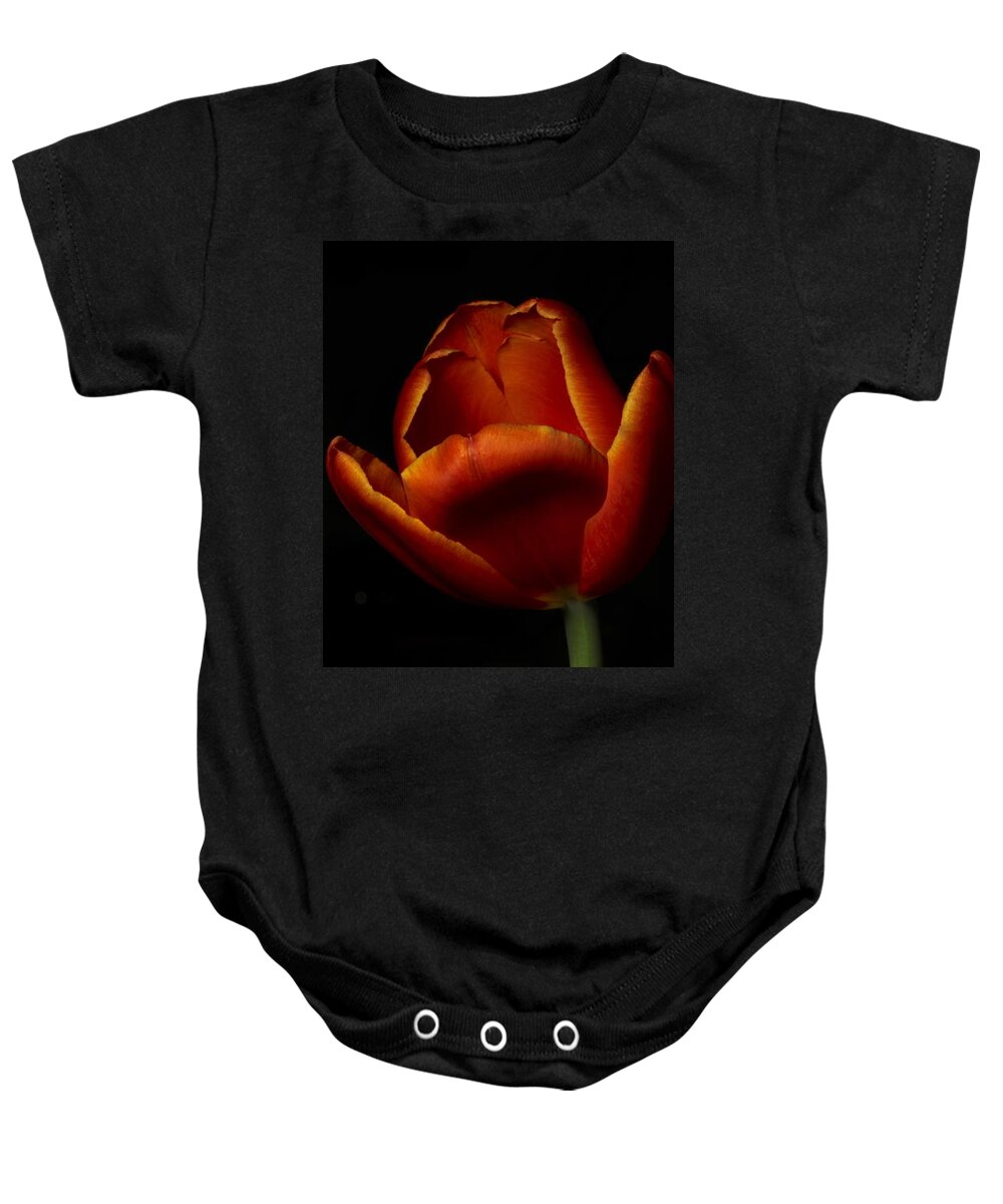 Botanical Baby Onesie featuring the photograph Tulip 8063 by Julie Powell