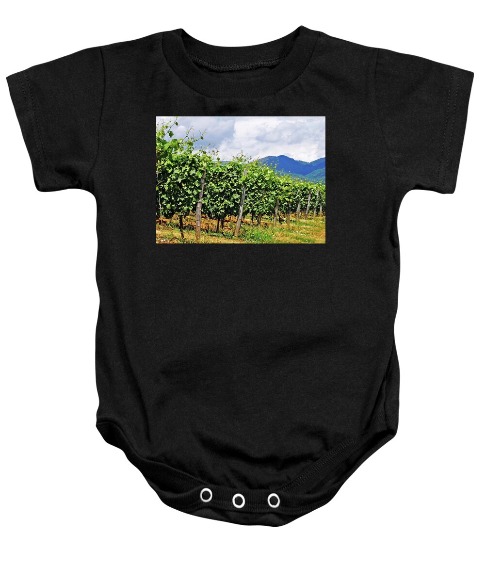 Tuscany Baby Onesie featuring the photograph Tuscan Vineyard by Debbie Oppermann
