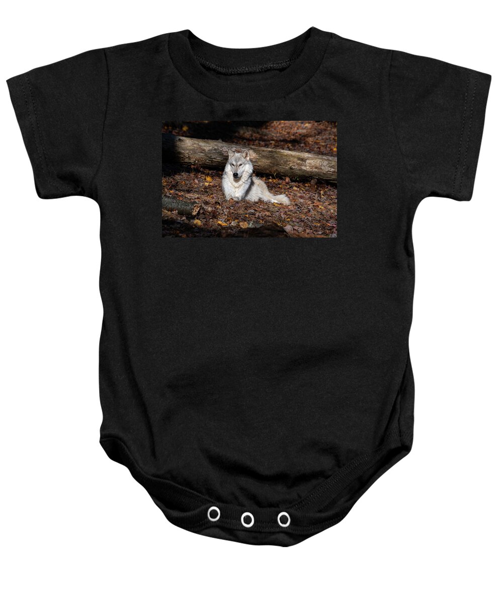 Tundra Baby Onesie featuring the photograph Warming Up in the Sun by Rose Guinther