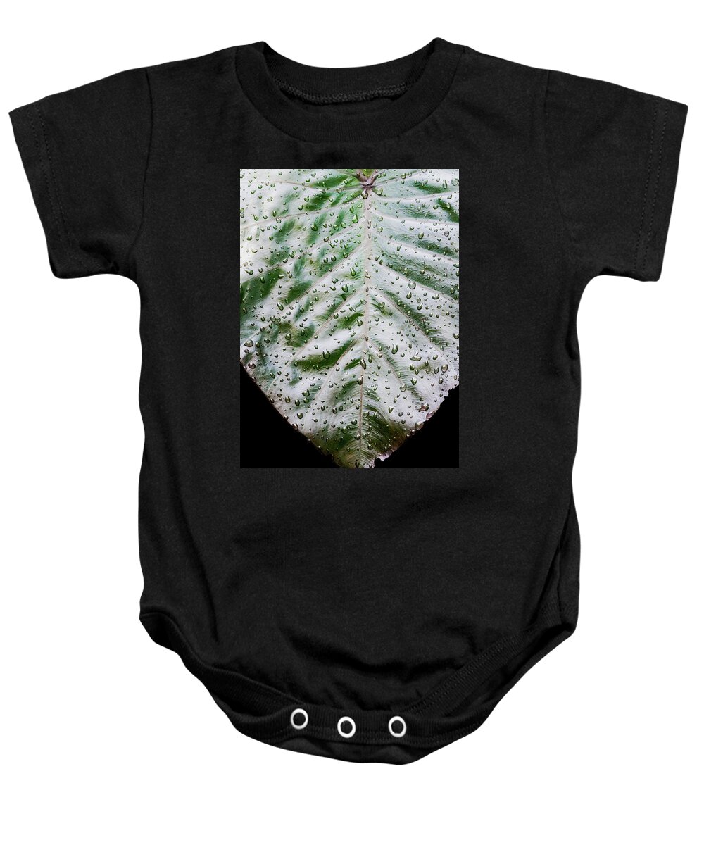 Elephant Ear Baby Onesie featuring the photograph Wet Elephant Ear Plant In Morning Light by Gary Slawsky