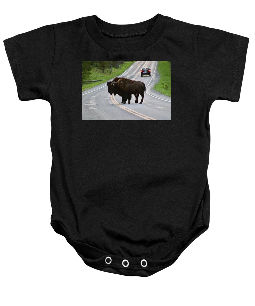 Bison Baby Onesie featuring the photograph Which way should we go? by Yvonne M Smith