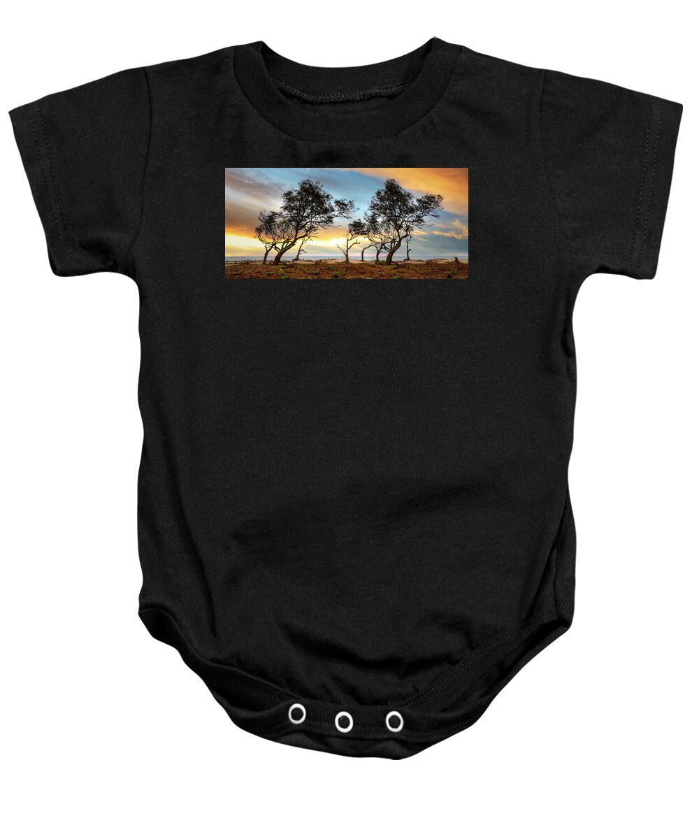 Clouds Baby Onesie featuring the photograph Windswept Trees on Jekyll Island by Debra and Dave Vanderlaan