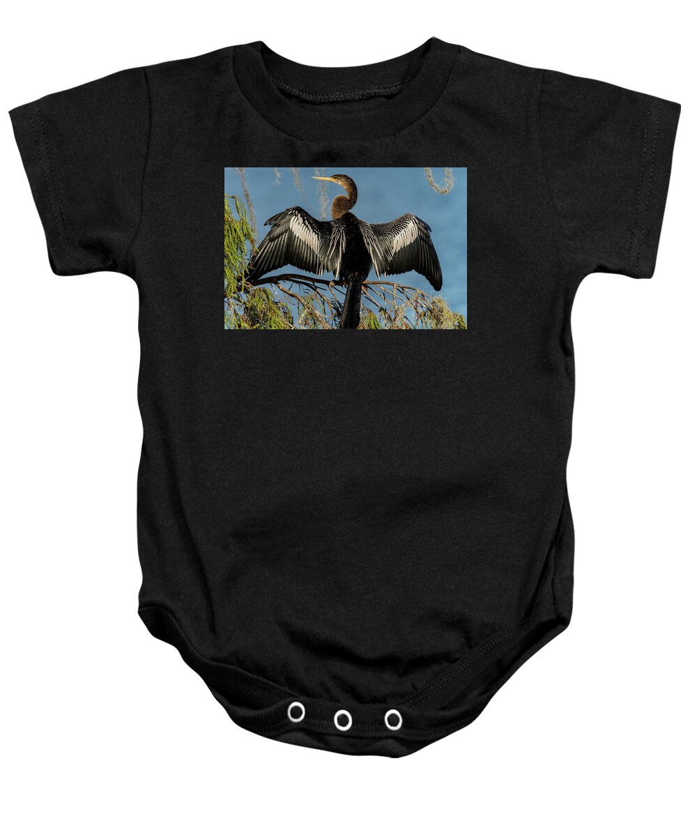 Anhinga Baby Onesie featuring the photograph Wing Span by Pamela McDaniel