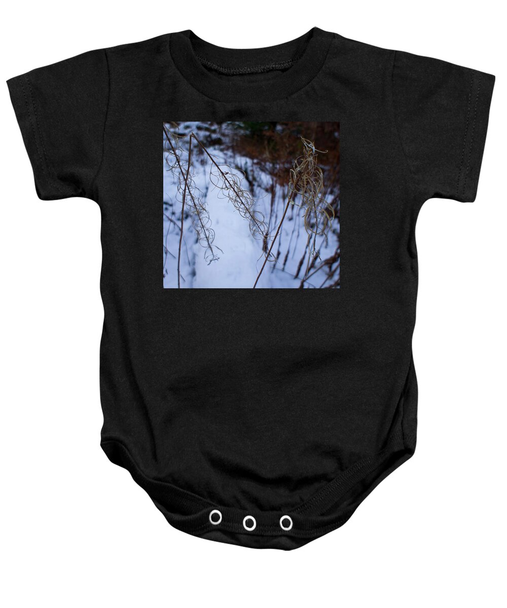 Rosebay Willowherb Baby Onesie featuring the photograph Winter of Fireweed by Elena Perelman