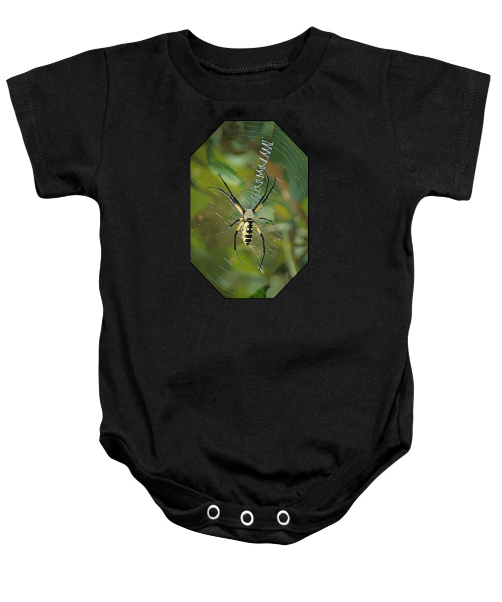 Insects Baby Onesie featuring the photograph Yellow Garden Spider by Nikolyn McDonald