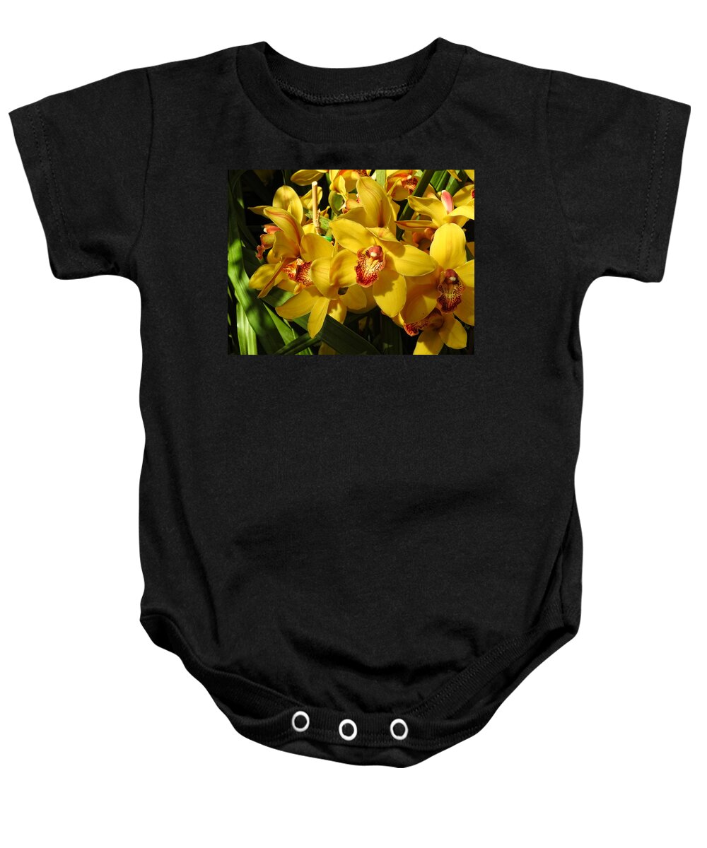 Yellow Baby Onesie featuring the photograph Yellow Orchids NY Botanical Garden by Russel Considine