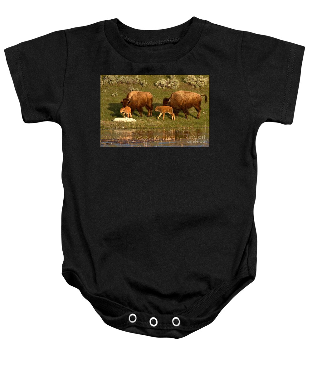 Yellowstone Baby Onesie featuring the photograph Yellowstone Bison Red Dog Season by Adam Jewell