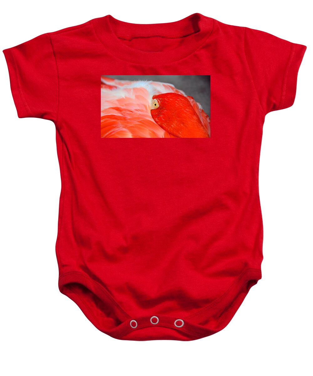 Bird Baby Onesie featuring the photograph Eye of the Flamingo #1 by David Lee Thompson