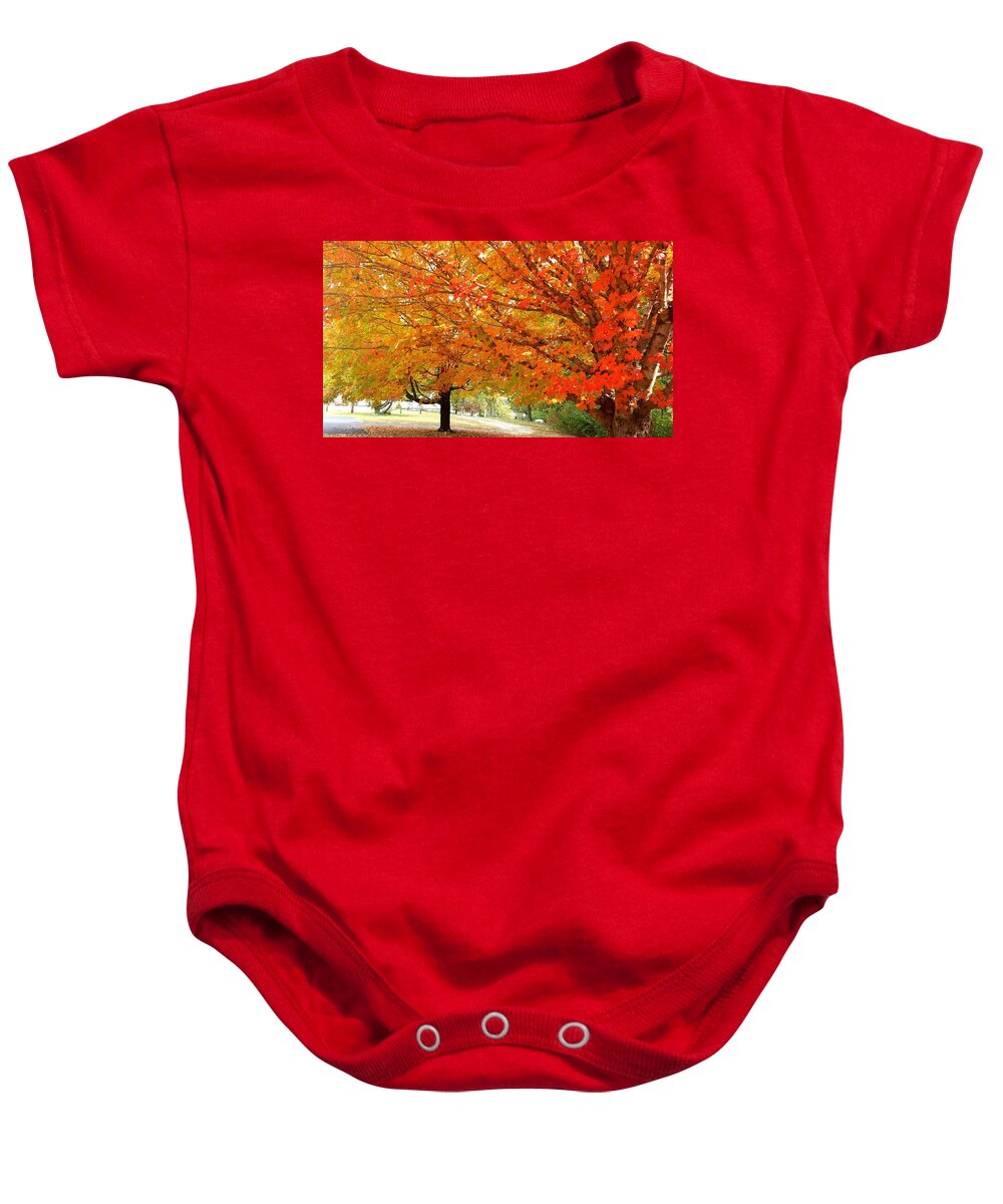 Fall Baby Onesie featuring the photograph Fall Explosion of Color #17 by Kenny Glover