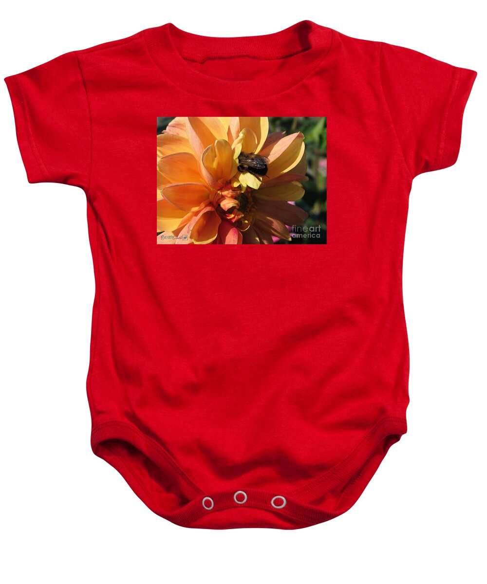 Dahlia Baby Onesie featuring the painting Dahlia from the Showpiece Mix #8 by J McCombie
