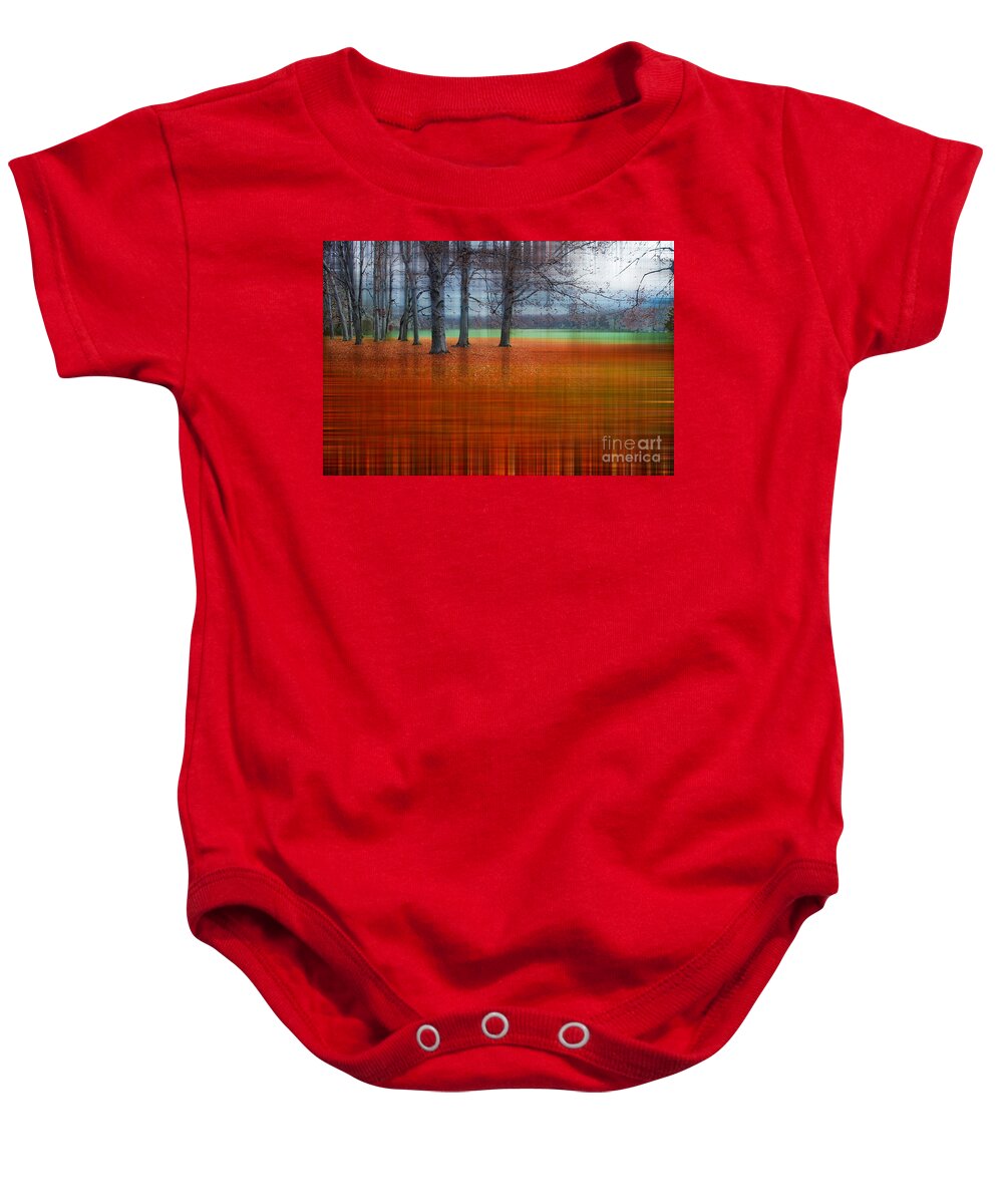 Abstract Baby Onesie featuring the photograph abstract atumn II by Hannes Cmarits