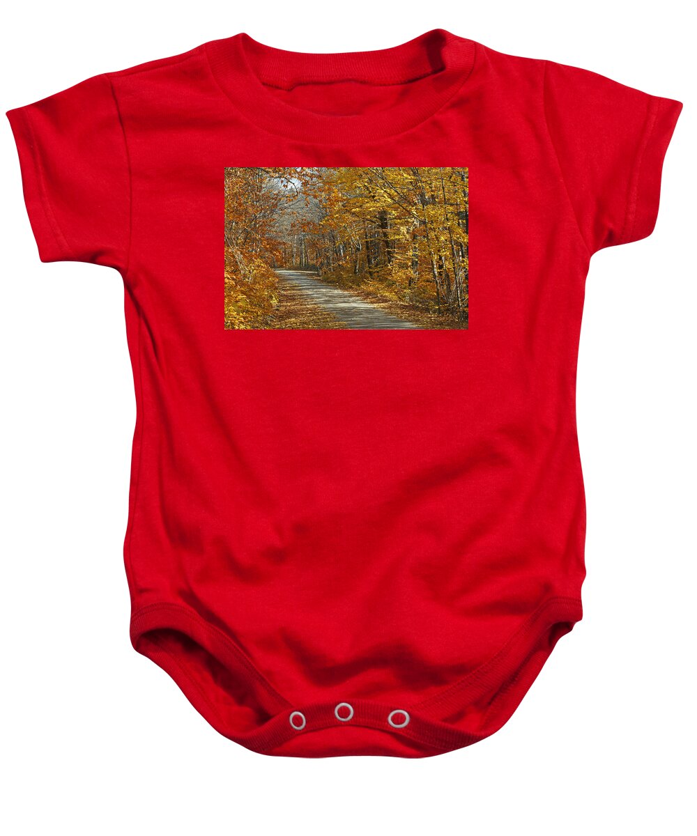 Feb0514 Baby Onesie featuring the photograph Autumn American Beech Baxter State by Scott Leslie
