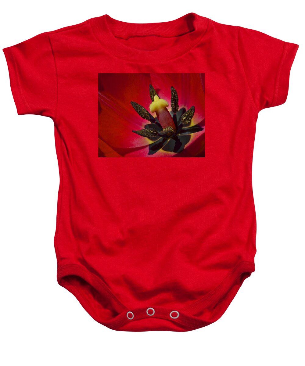 Basking Baby Onesie featuring the photograph Basking in the Sun by Frozen in Time Fine Art Photography