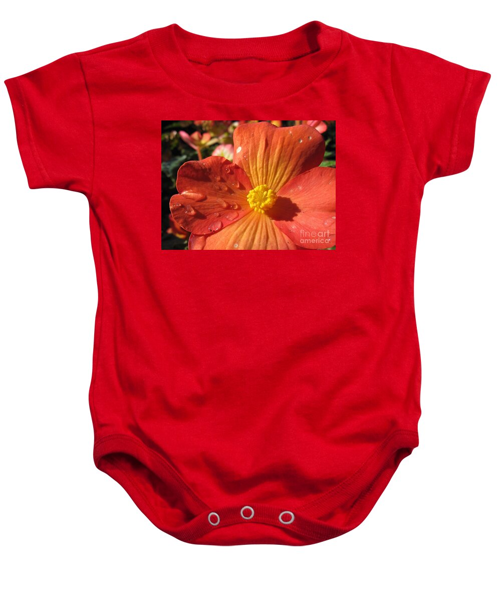 Flowers Baby Onesie featuring the photograph Begonia Tears by Csilla Florida
