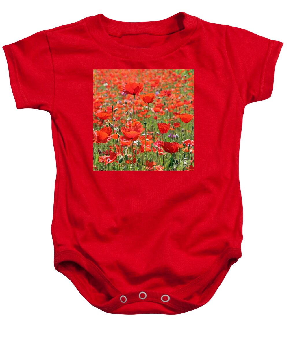 Commemorative Poppies Uk Red Flower Poppy Flowers Meadow Field Baby Onesie featuring the photograph Commemorative Poppies by Julia Gavin