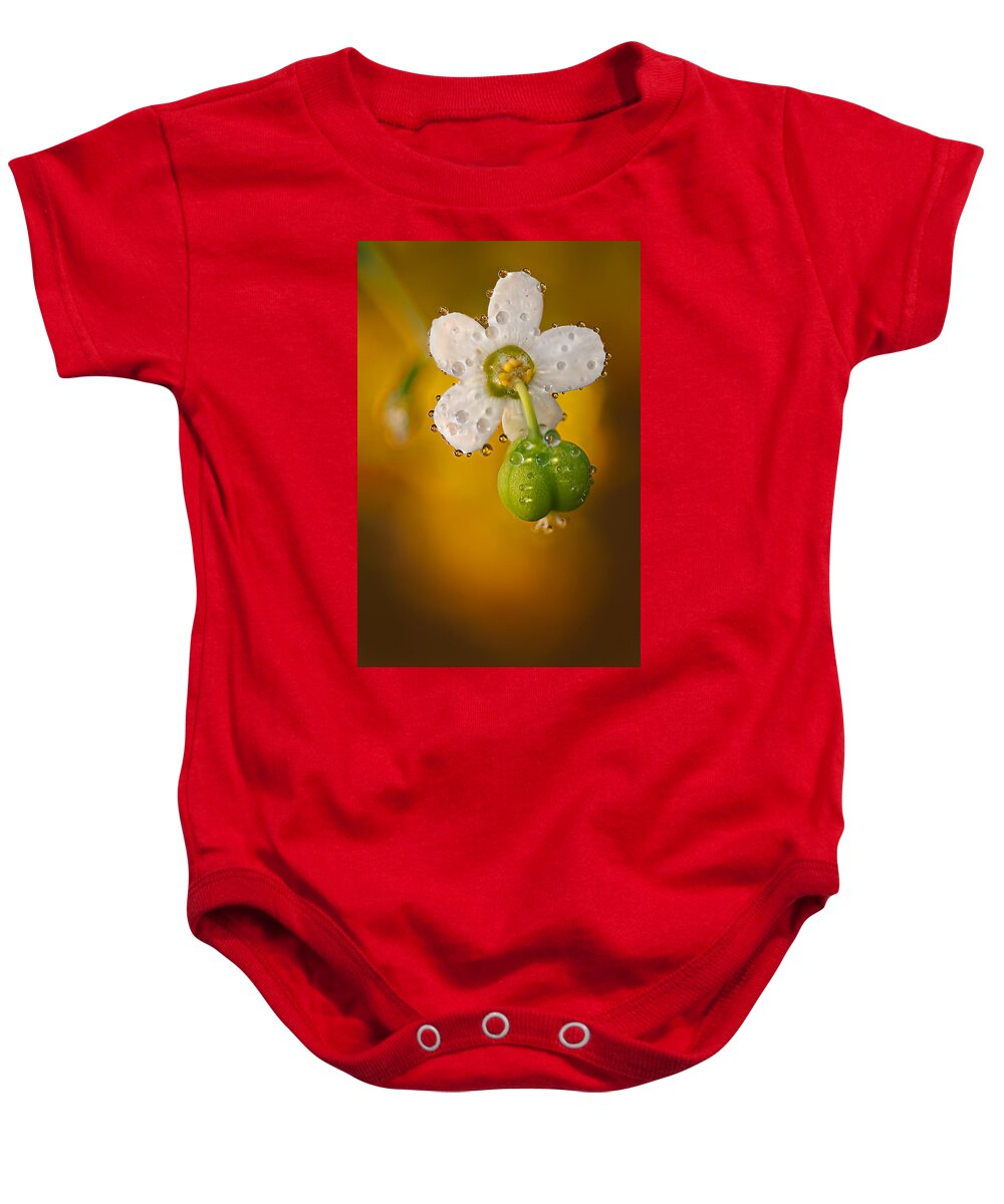 2012 Baby Onesie featuring the photograph Flowering Spurge by Robert Charity
