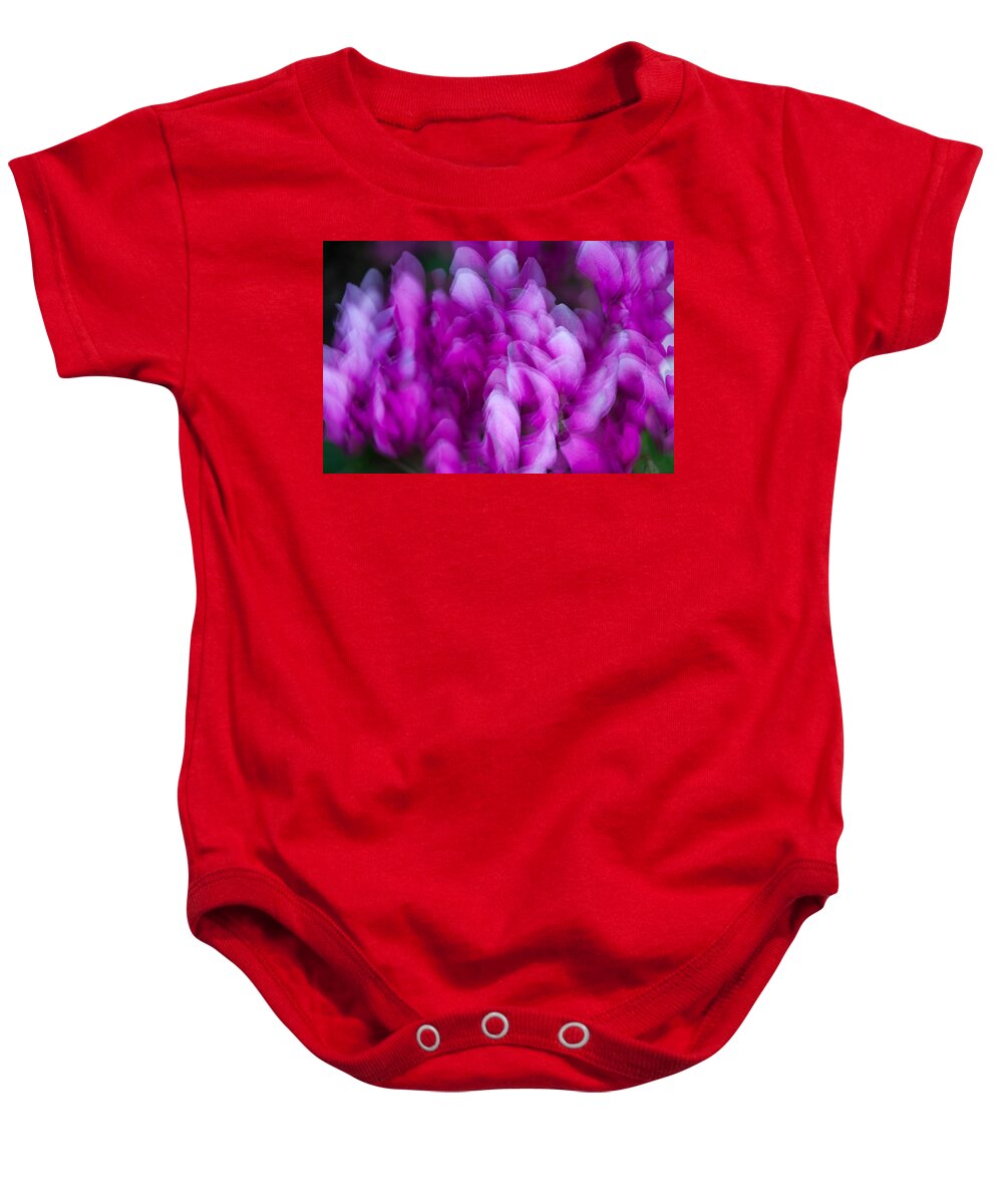 Multiple Exposure Baby Onesie featuring the photograph Ginter's Wonderful Petals by Georgette Grossman