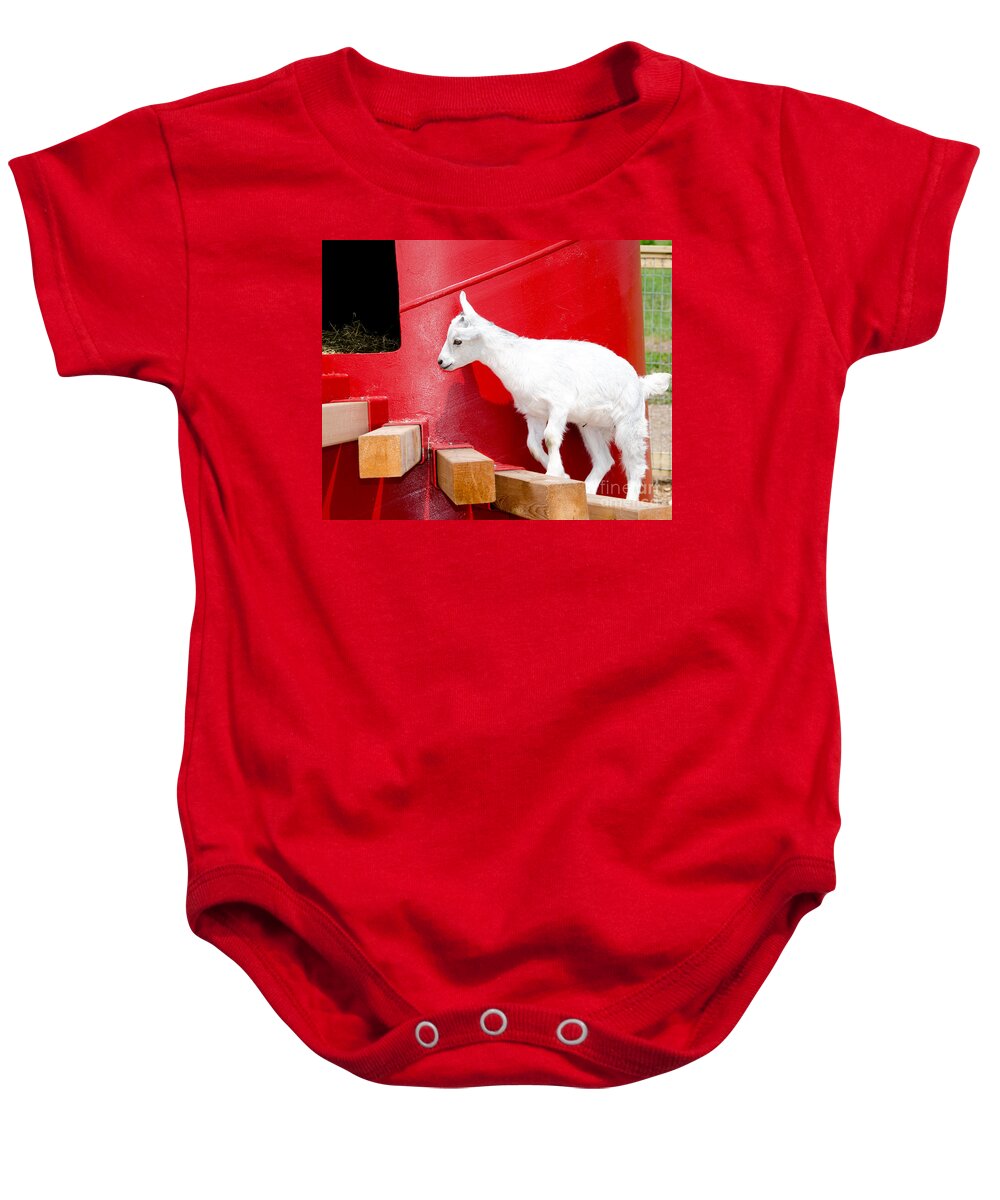 Goat Baby Onesie featuring the photograph Kid's Play by Laurel Best