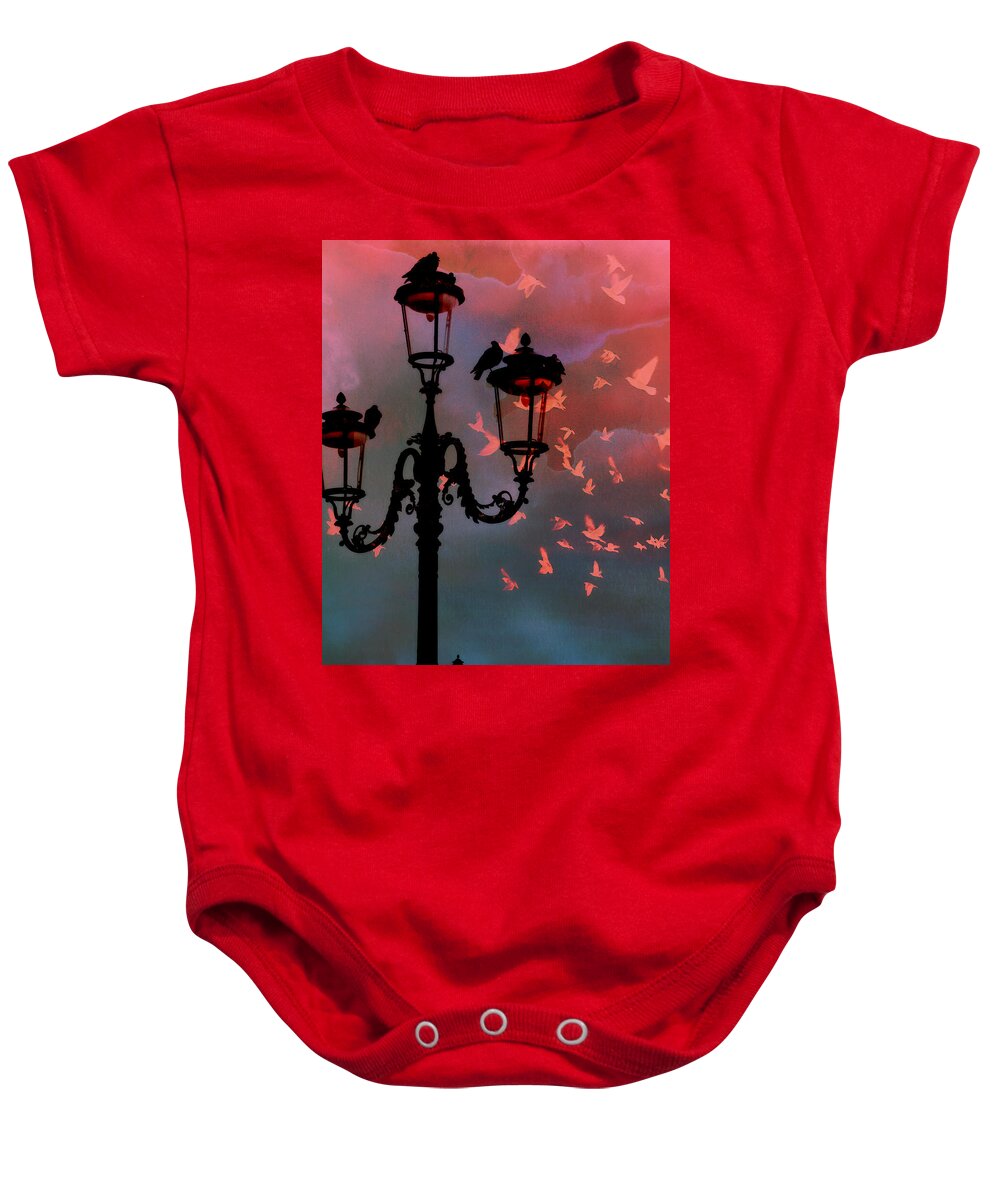 Venice Baby Onesie featuring the photograph Il Volo by Micki Findlay