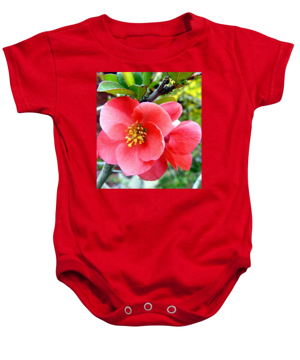Japonica Macro Baby Onesie featuring the photograph Japonica Macro by Will Borden