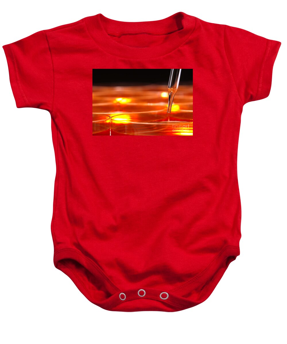 Lab Baby Onesie featuring the photograph Laboratory Petri Dishes in Science Research Lab by Science Research Lab By Olivier Le Queinec