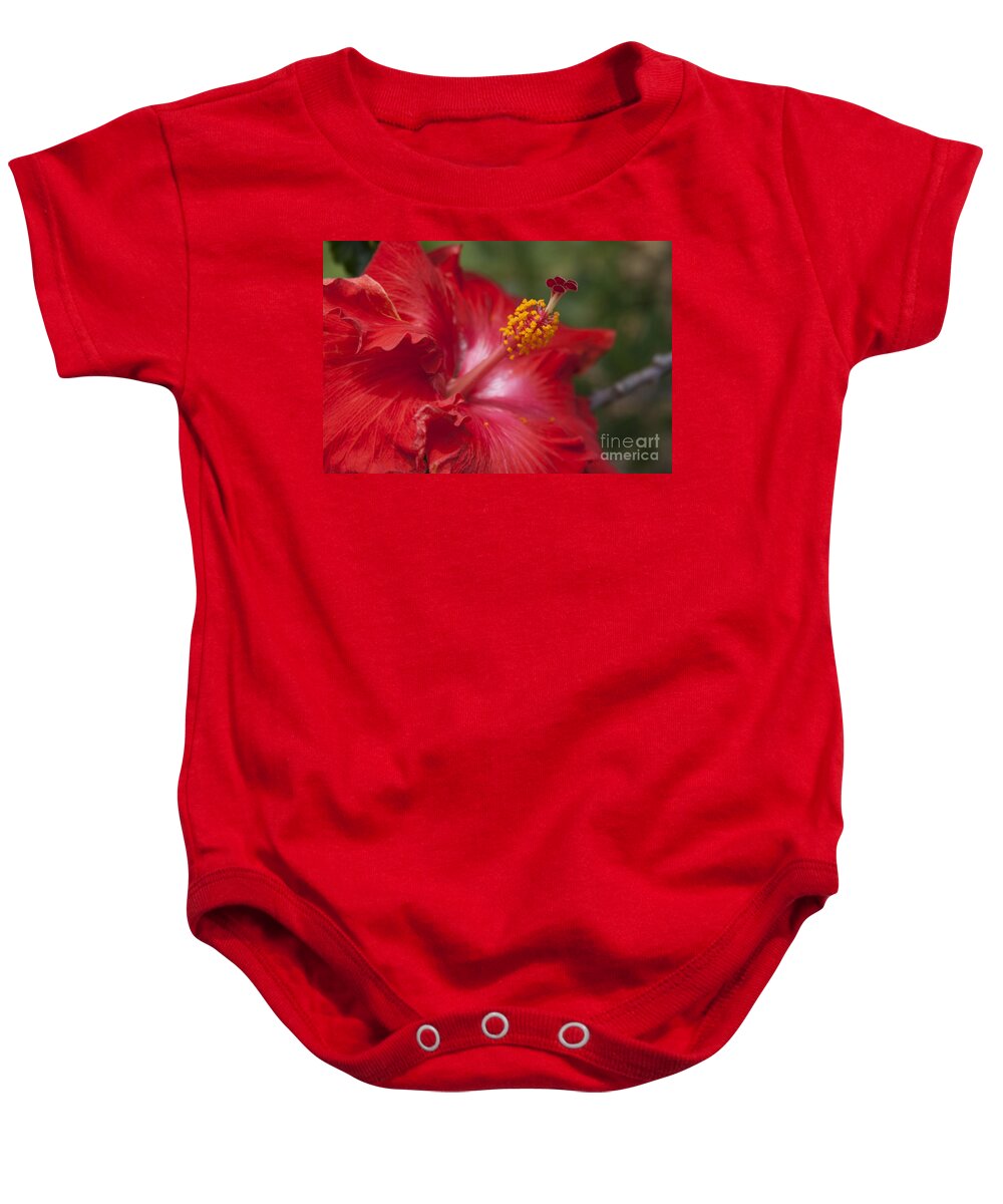 Aloha Baby Onesie featuring the photograph Morning Whispers by Sharon Mau