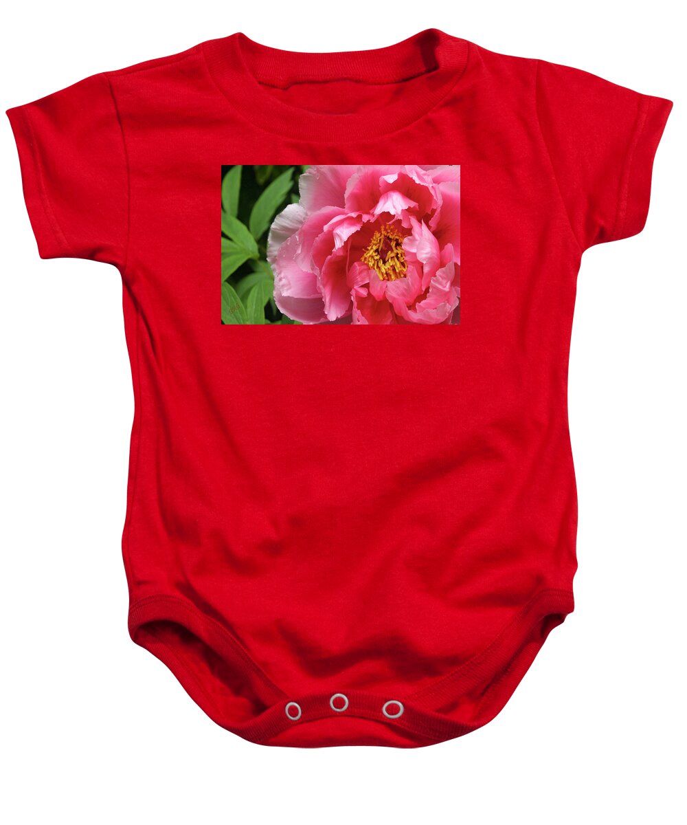 Pink Flower Baby Onesie featuring the photograph Pink Peony Portrait by Ben and Raisa Gertsberg
