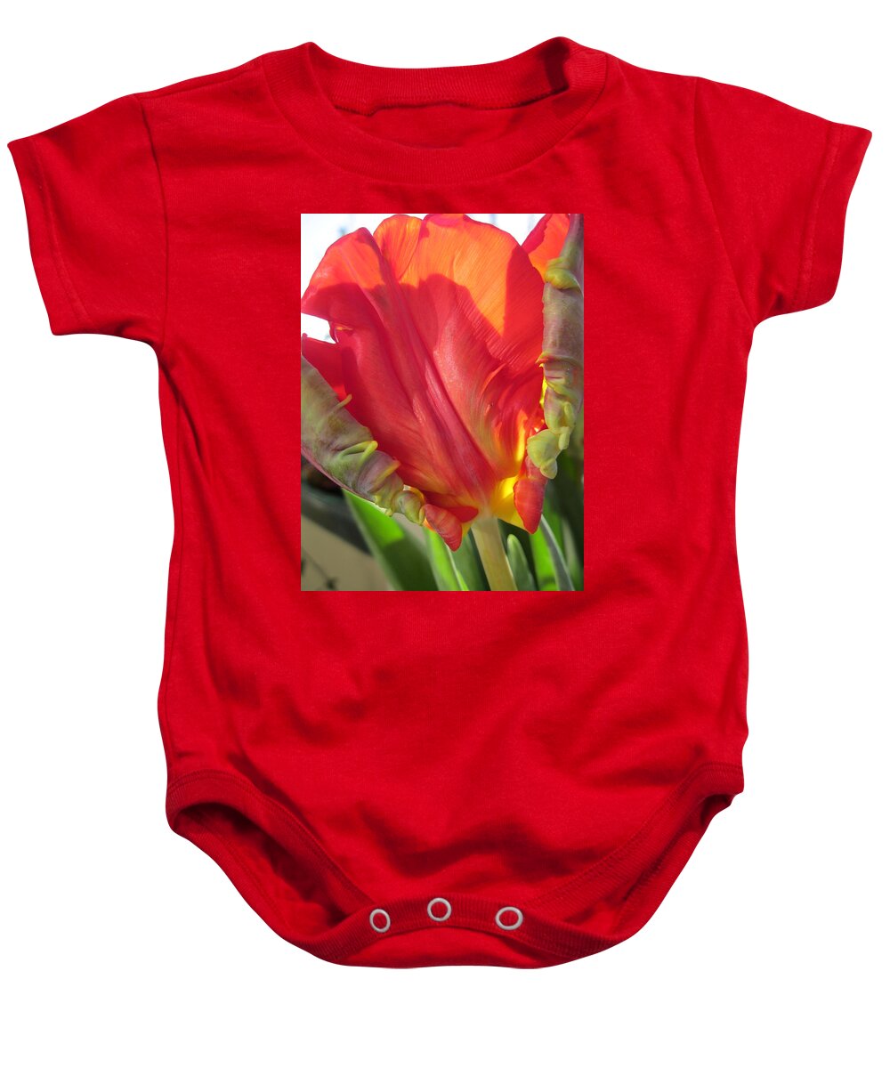 Tulip Baby Onesie featuring the photograph Proud by Rosita Larsson
